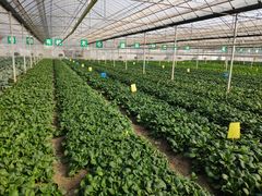 -上膳源有机农场