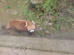 -黔灵山公园