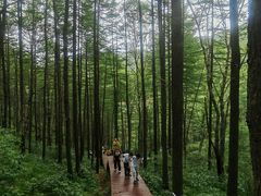 -驼梁风景区