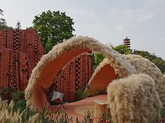 -深圳仙湖植物园