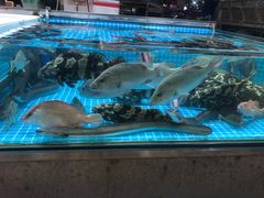 -都斛海鲜街