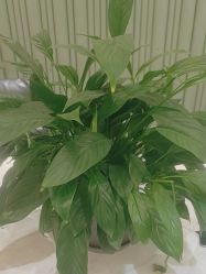 -木北护肤造型