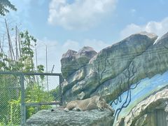 -上海玛雅海滩水公园