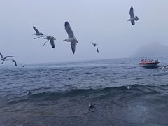 -棒棰岛宾馆景区