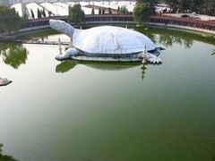 -东方巨龟苑景区
