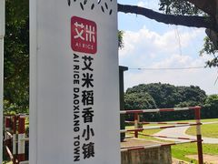 -风云岭森林公园