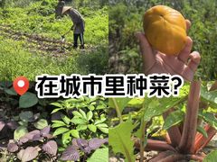 -松浦·观江国际