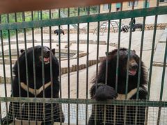 -栾川竹海野生动物园