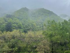 -秦岭终南山世界地质公园翠华山景区