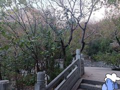 -千佛山风景名胜区