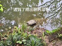 -灵隐飞来峰景区