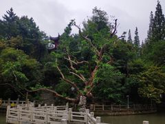 -汇龙潭