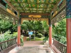 -洛龙公园