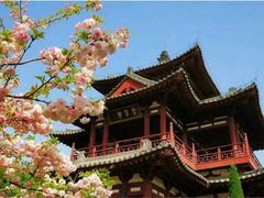 -西安青龙寺遗址景区