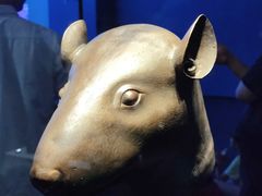 -广西壮族自治区博物馆