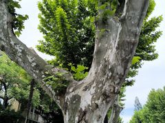 -浙江大学(玉泉校区)