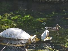 -水磨沟公园
