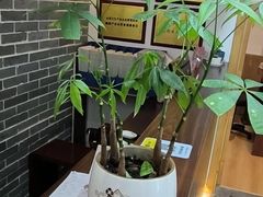 -雅享养生·中医调理·筋骨艾灸(广兰路店)