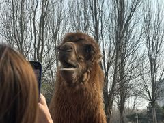 -长白岛森林公园