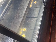 -吉布鲁牛排海鲜自助(温江合生汇店)