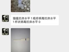 -严国平动物医院(德政总院)