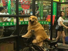 -百年恒益烧腊海鲜酒家·非遗传承(广州黄埔店)