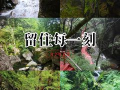 -牛背梁国家森林公园
