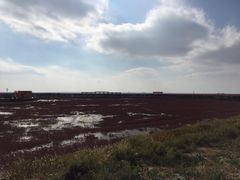-红海滩国家风景廊道