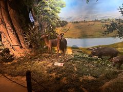 -马鞍山市博物馆