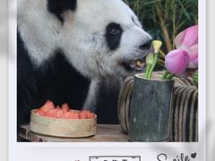 -柳州市动物园