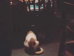 -江湖边·小生活