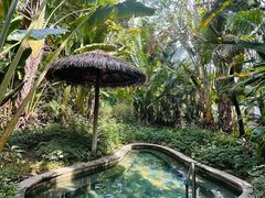 -碧桂园润杨溪谷温泉酒店