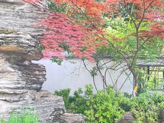 -南京古林公园