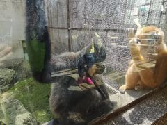 -昆明动物园