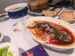 -院8里·小聚园(九眼桥店)