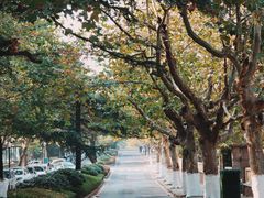 -八大关景区