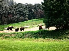 -北京野生动物园