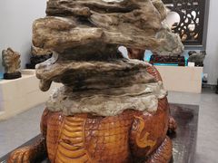 -游龙石文化科普馆
