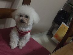 -佳雯宠物医院(四明中路分院)