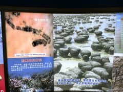 -上海昆虫博物馆