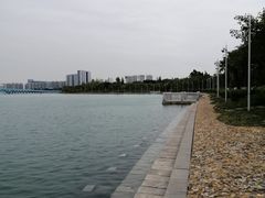 -五缘湾湿地公园