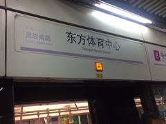 -东方体育中心(地铁站)