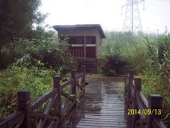 -昆山城市生态森林公园