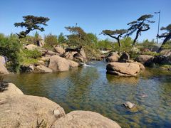 -罗红摄影艺术馆