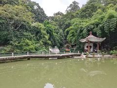 -黔灵山公园