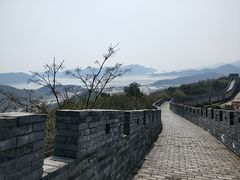 -黄贤森林公园