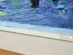 -龙格亲子游泳·水育早教运动中心(绿宝中心)