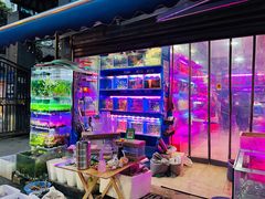 -青石桥花鸟鱼虫市场(叠翠城店)