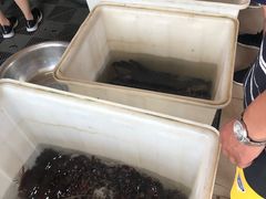 -夏家大锅台炖鱼馆