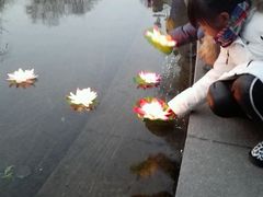 android_upload_pic-水磨沟公园